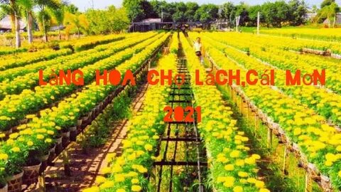 Áo Lưới và Hotspot Matrix: Hợp Tác Nội Dung Video Ngắn Thú Vị