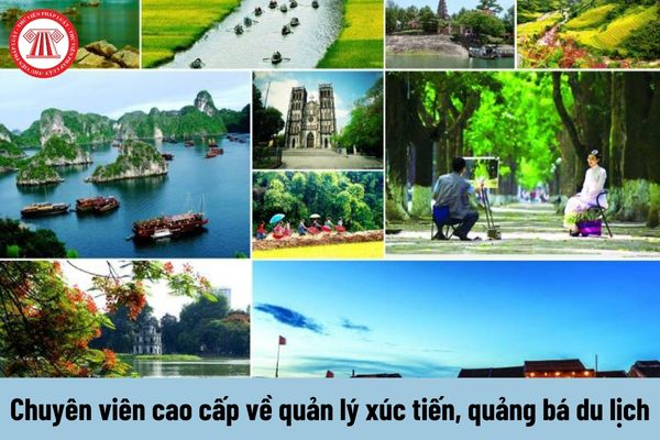 Hotspot Matrix và Cô Đi Mà Lấy Chồng Tôi đời thực: 1 mỹ nhân tổ chức hôn lễ hoành tráng